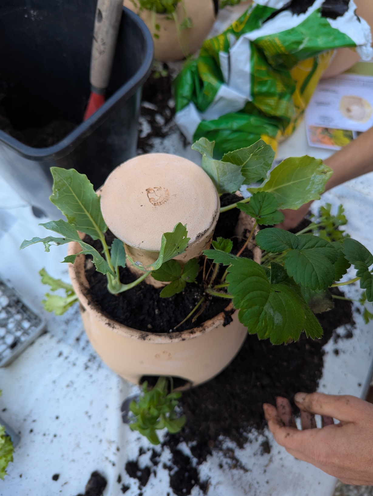 Inscription Atelier "Créé ton Mini-potager pour balcon" – Image 5