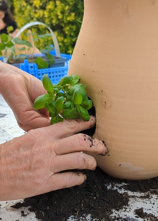 Inscription Atelier "Créé ton Mini-potager pour balcon"