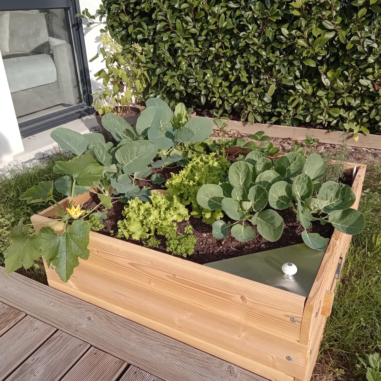 COMPOSTEUR : en kit, le bac à compost pour le jardin et entretenir votre  extérieur, votre potager